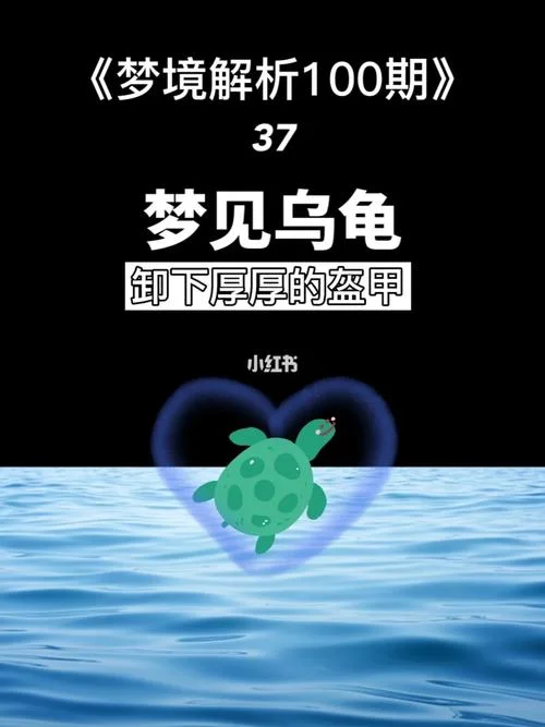 梦见打死乌龟_2