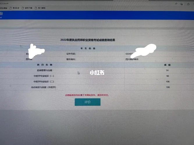 19年执业药师考试成绩查询_2