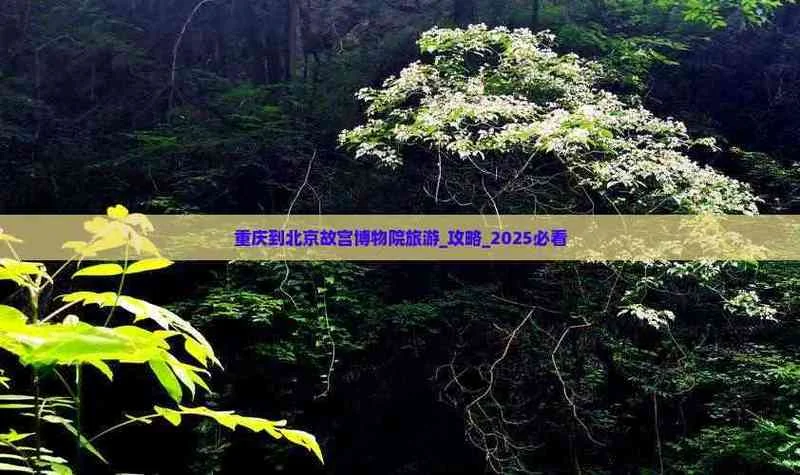 重庆到北京故宫旅游路线攻略_1