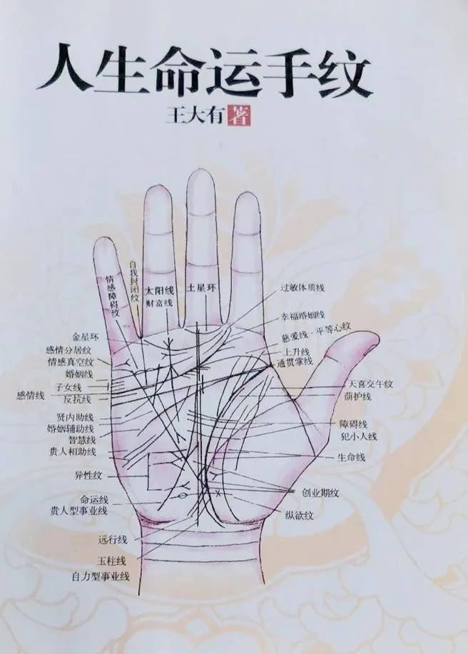 手相怎么看男左女右吗_1