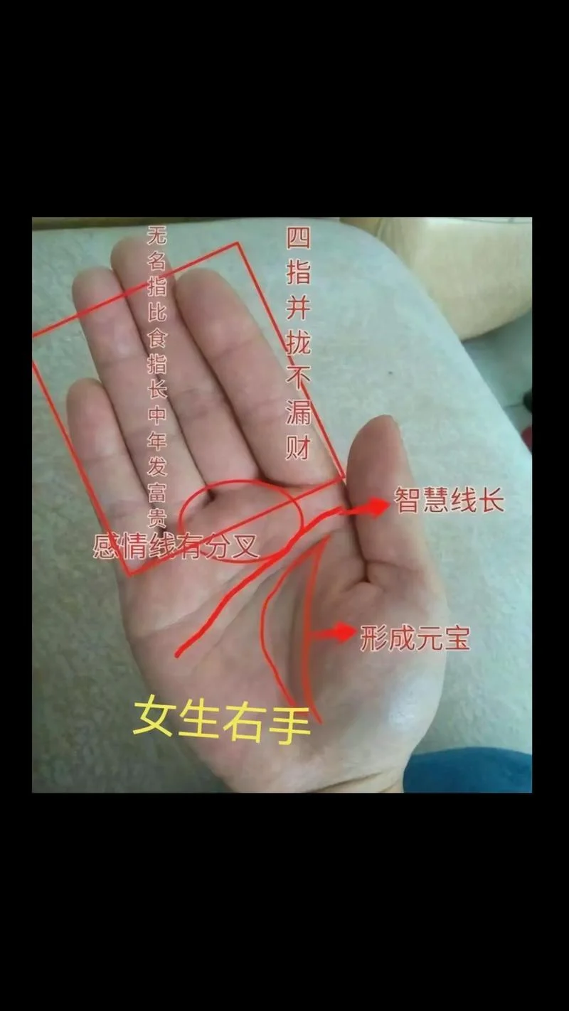 看手相怎么看生男生女_2