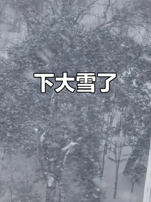 做梦下雪是什么兆头_2