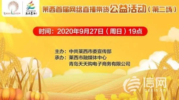 莱西网络公司哪家好-莱西网络公司优选