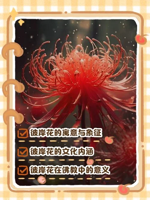 梦见彼岸花好不好吗_1