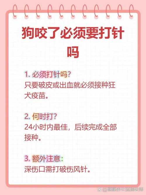 梦见被够狗咬打狂犬疫苗_1