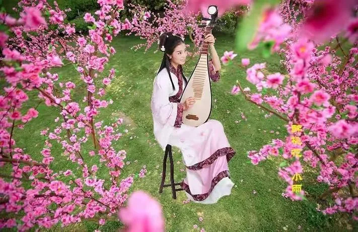 千年桃花如梦读书笔记_1
