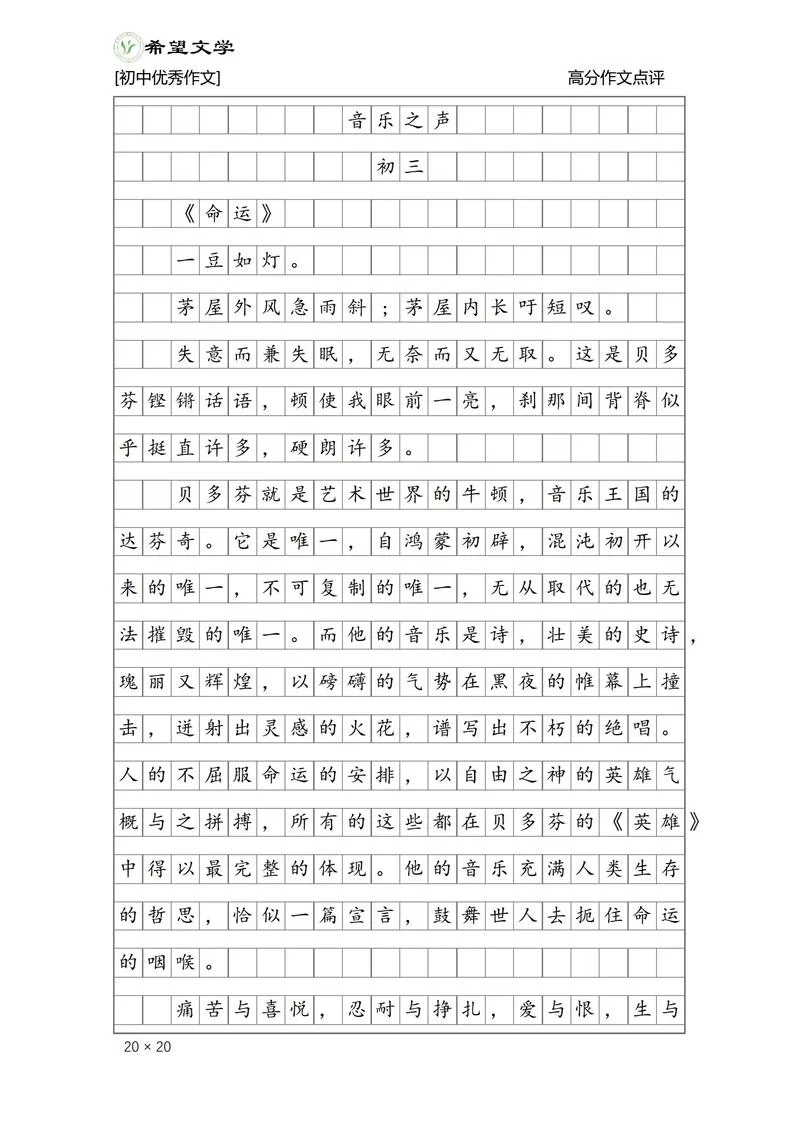 音乐与人生的感悟100字-感悟音乐人生百字