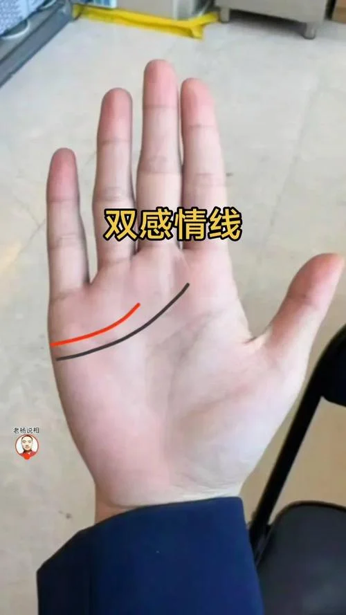 手相的感情线是哪条_2