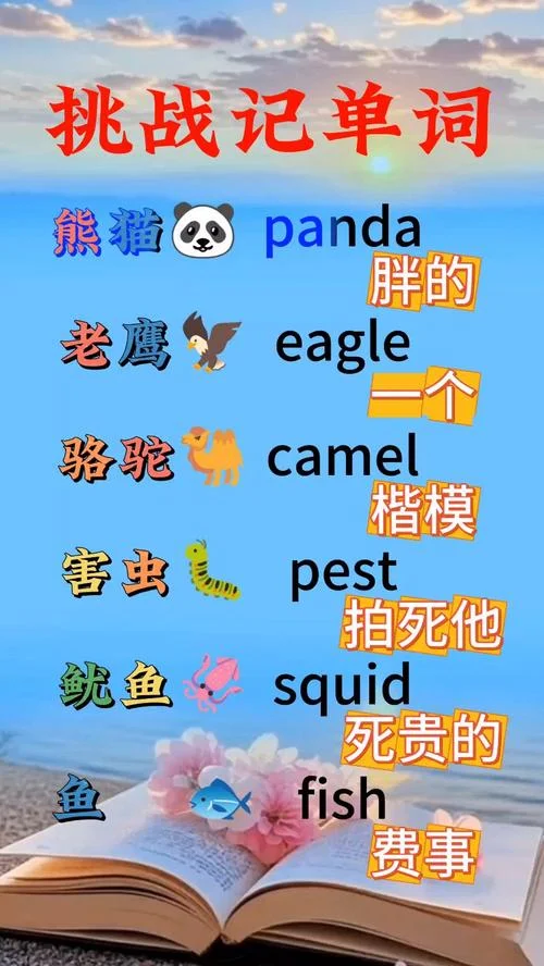 英文单词_2