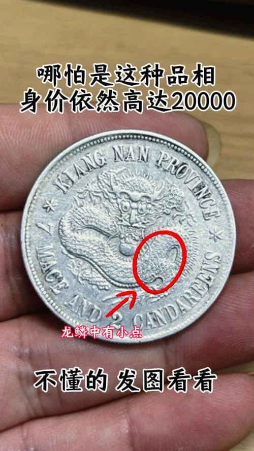 甲戌龙年_1