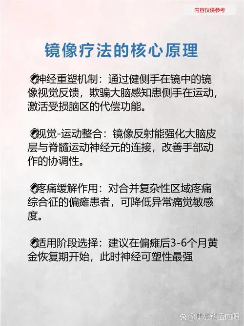 镜像原理是谁提出来的-谁提出镜像原理