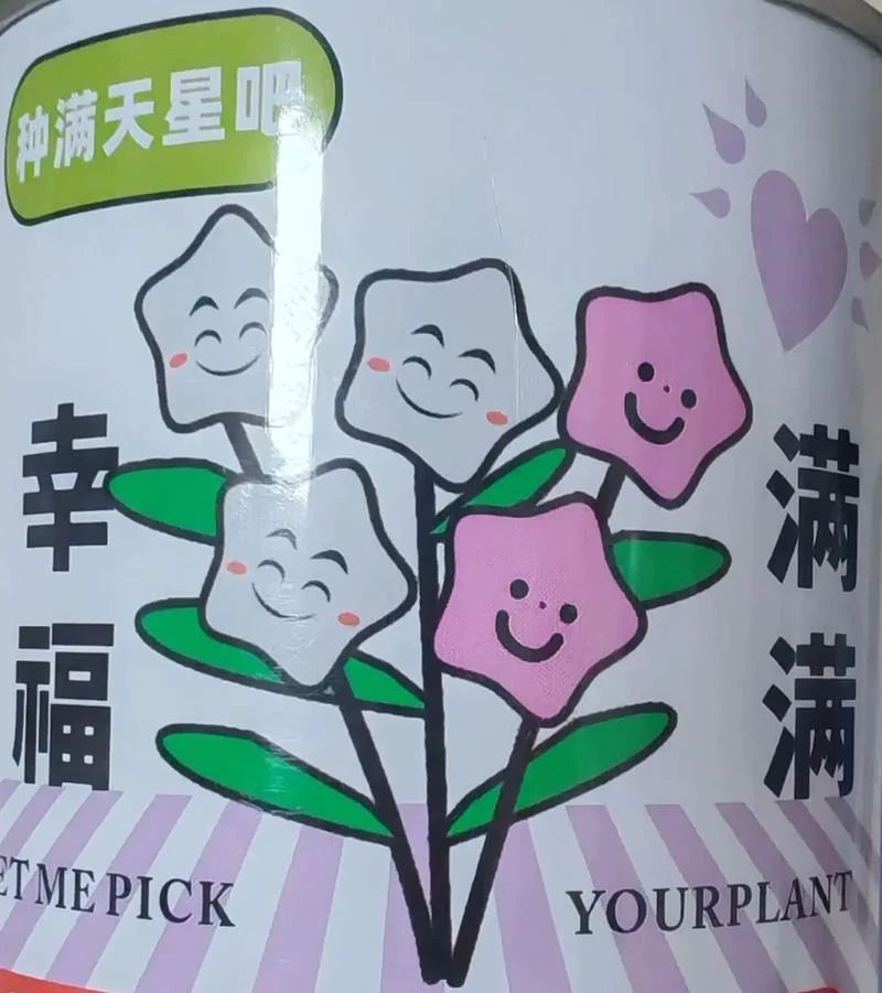 满天星几月份播种啊_1