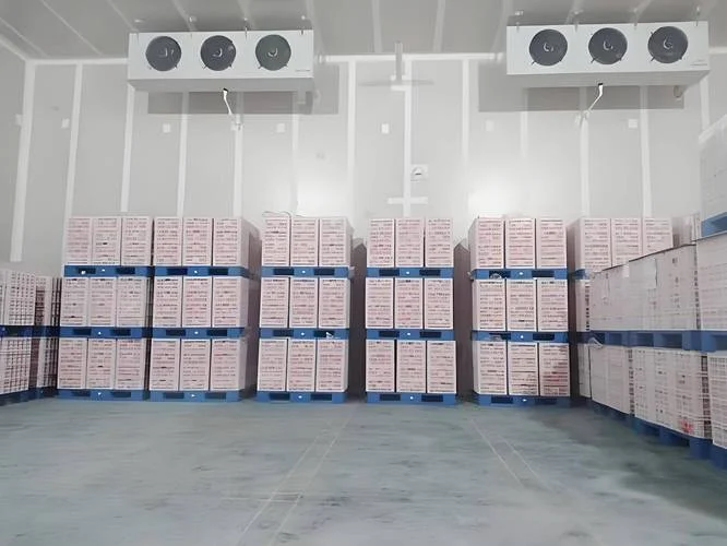 我想建一个冷库-建冷库需求