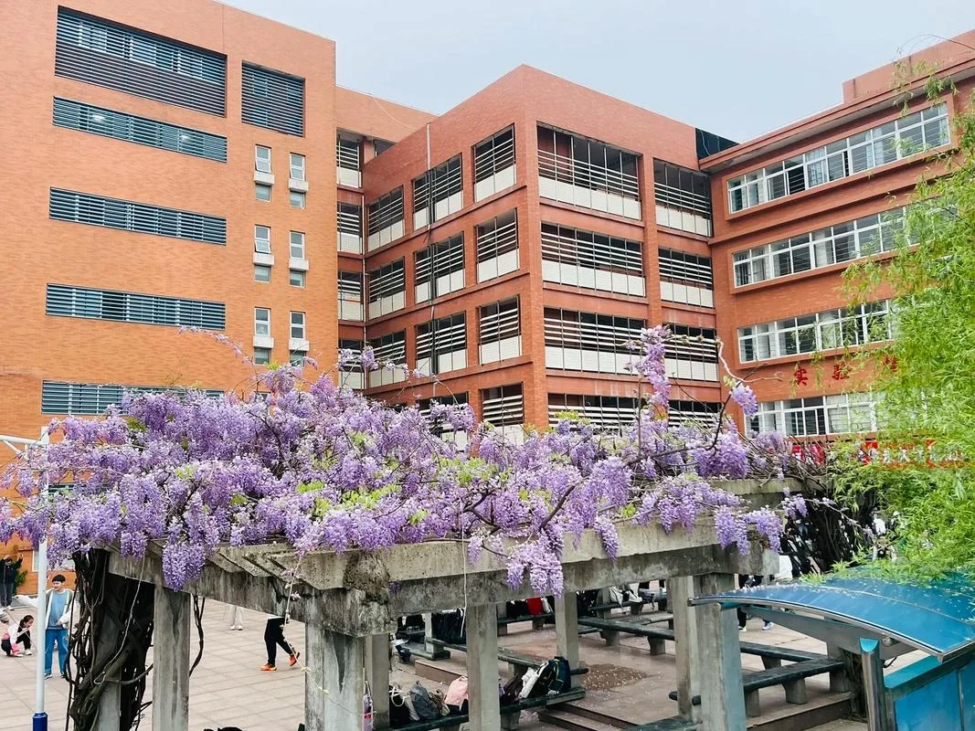 六安皋城中学大胸-六安皋城中学大胸问题
