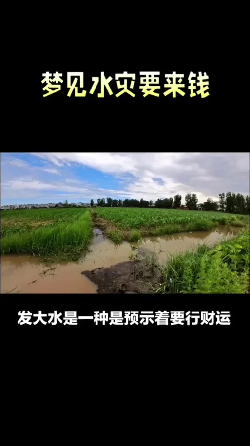 梦见风大水大_2