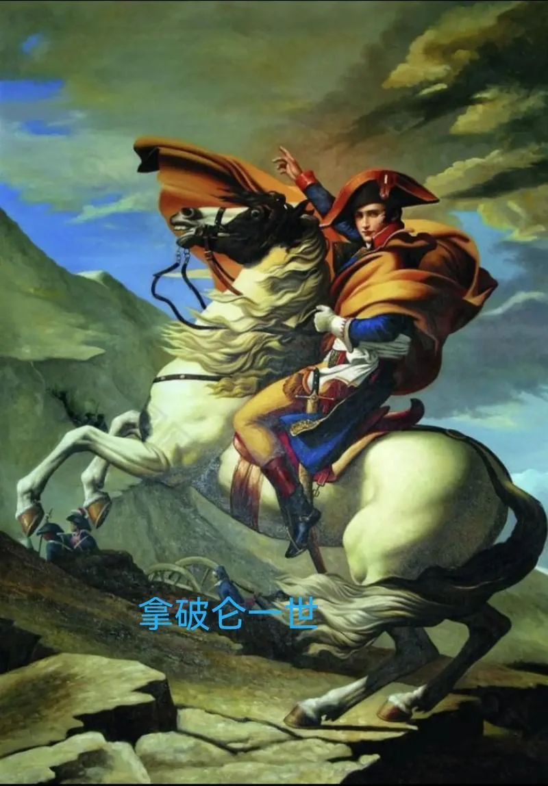 拿破仑简介资料_2