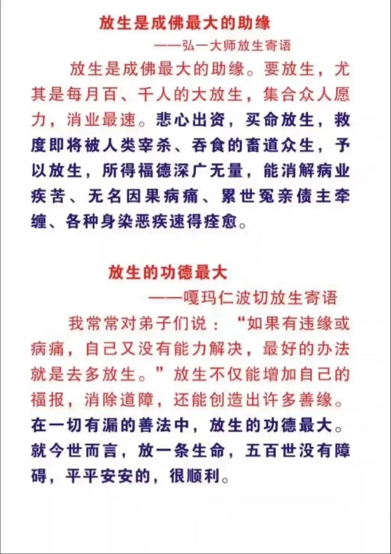 放生的时间有什么要求-放生时间需符合规定