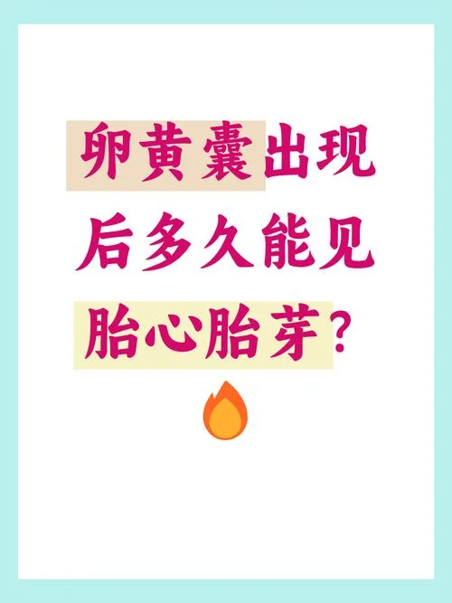 没有卵黄囊怎么办-无卵黄囊怎么办