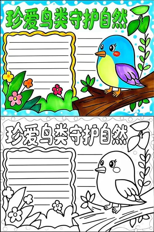 鸟手抄报_1