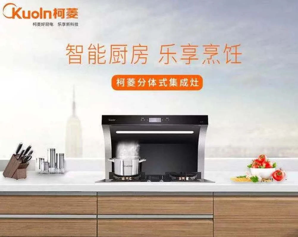 分体集成灶十大牌子_1