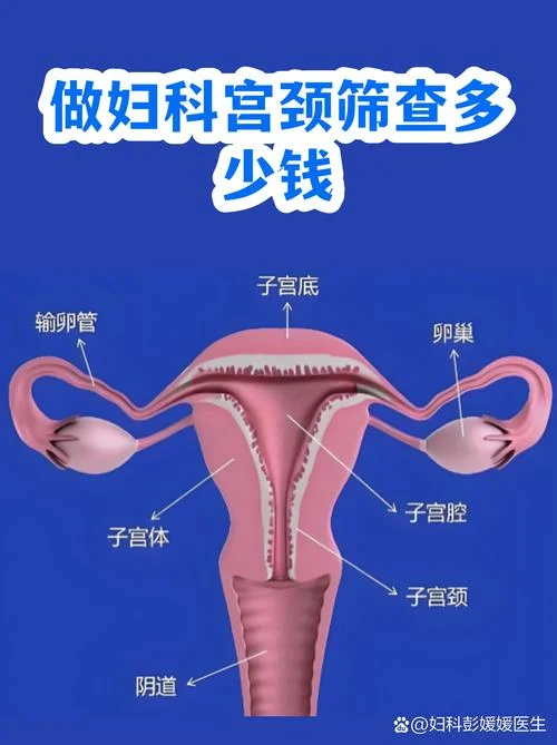 做妇科全面检查大概需要多少钱_1
