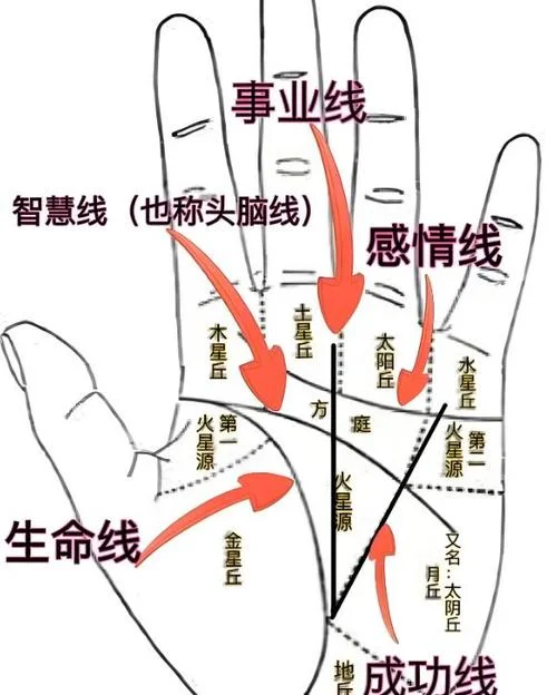 没有太阳线的手相图解-无太阳线手相图