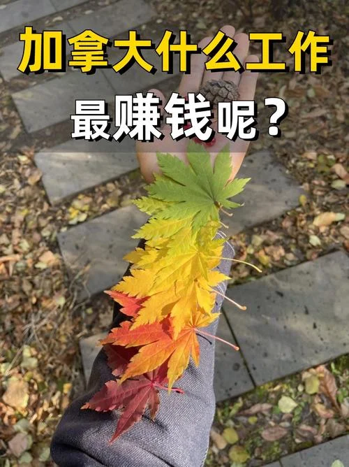 
                                    哪个国家最好赚钱-哪个国家最赚钱