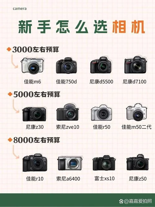 初学者应该买什么相机_1
