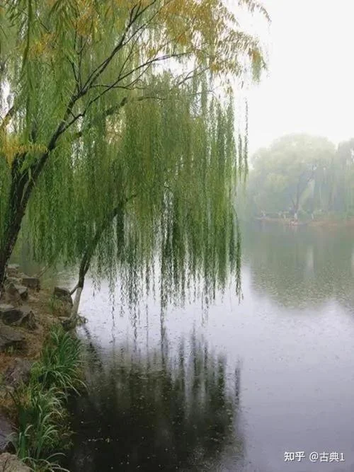 微风和煦下一句-微风和煦下一句