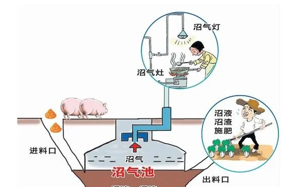 建一个沼气池大约用多少钱_1