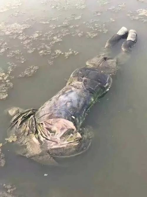 梦见浮尸是什么兆头_1
