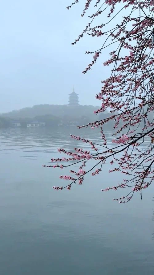 烟雨朦胧醉下一句-烟雨迷醉醉下一句