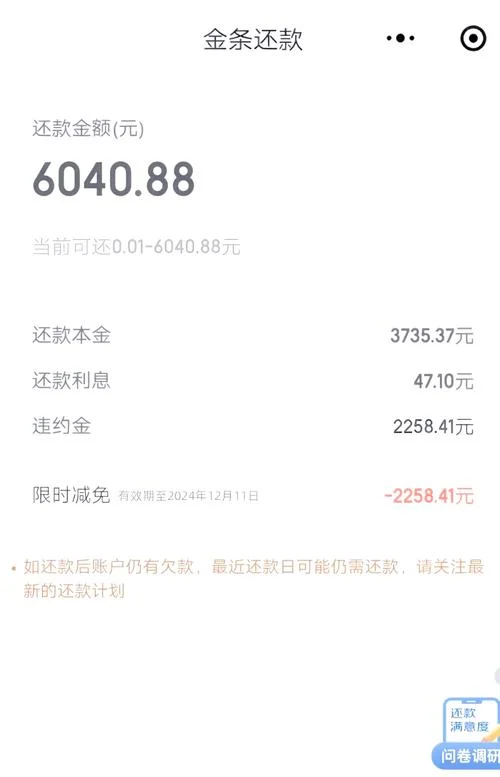 什么是逾期还款流水-什么是逾期流水