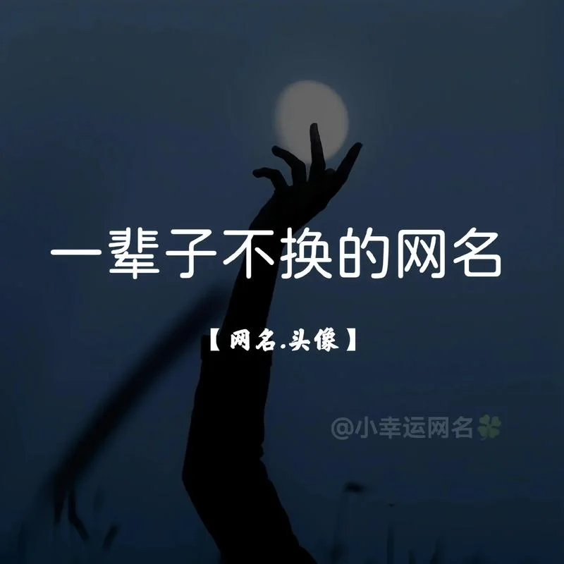 感悟人生的经典网名-人生感悟网名