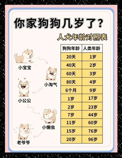 属相狗今年多少岁_1