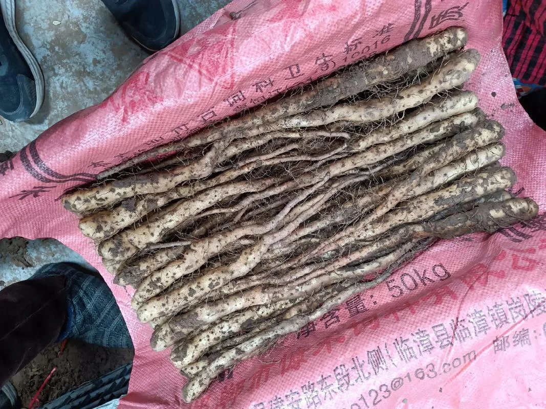 铁杆山药多少钱一斤_1