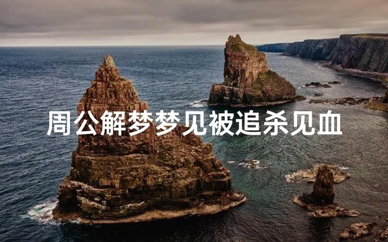 梦见自己被追杀受伤逃脱了_2