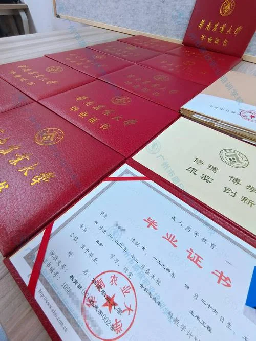 查毕业证在哪里查_2
