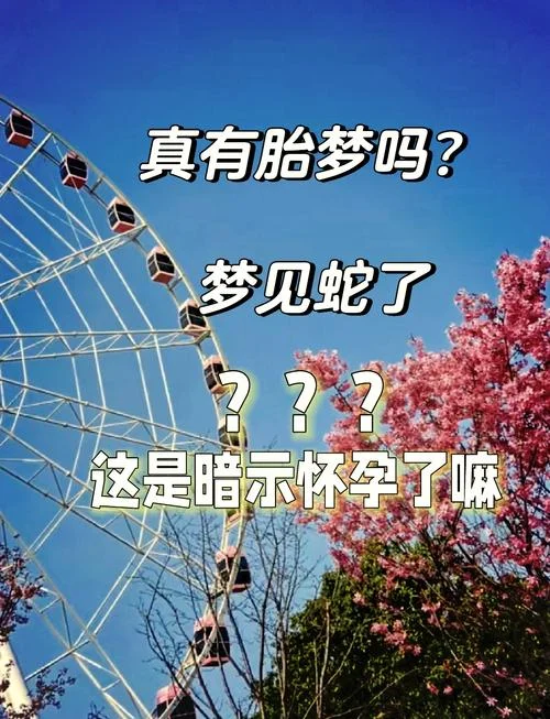 怀孕的人梦见好多蛇是什么预兆_1