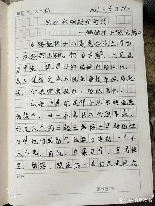 倪焕之读后感1500-倪焕之读后感精选