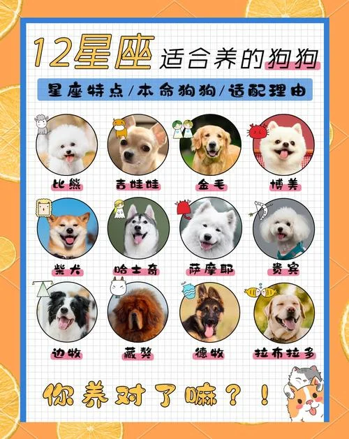 狗和什么属相配_1