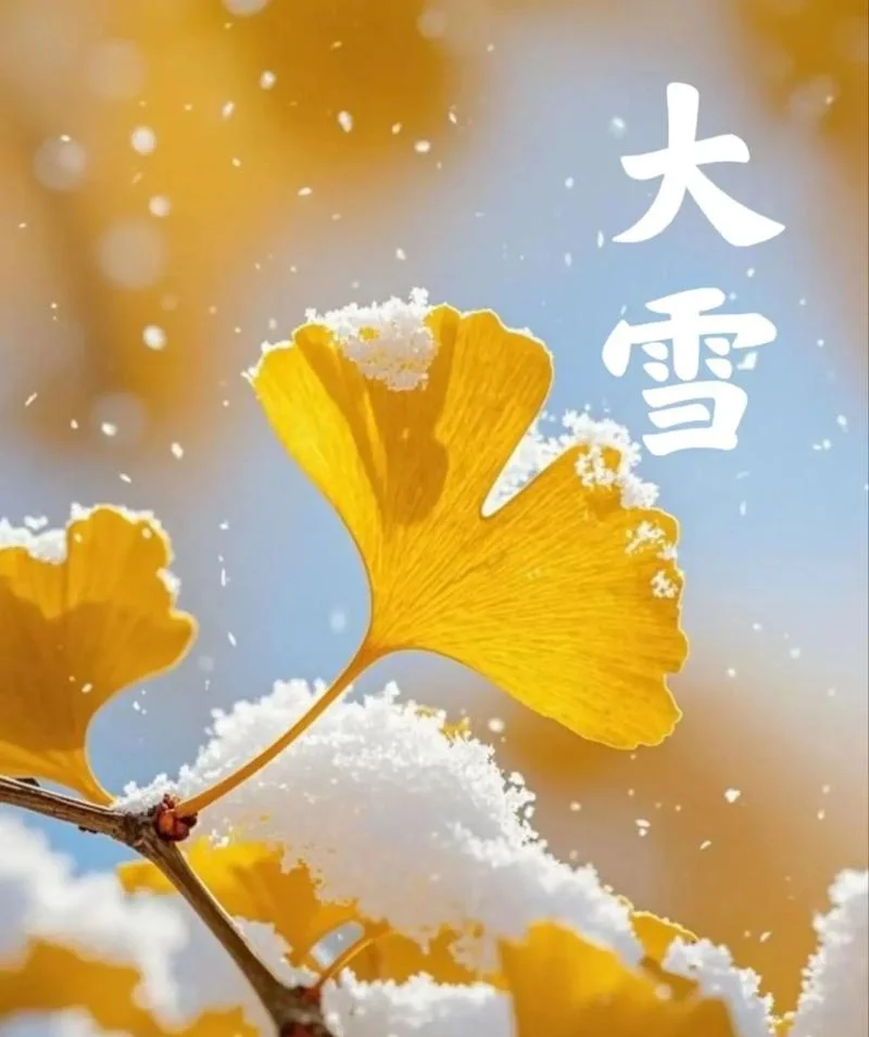 梦到下大雪是什么意思_1