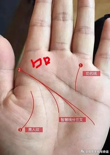 绝对会暴富手相男_2