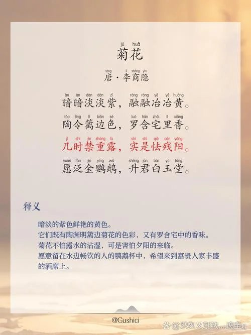 还来就菊花的上一句_1