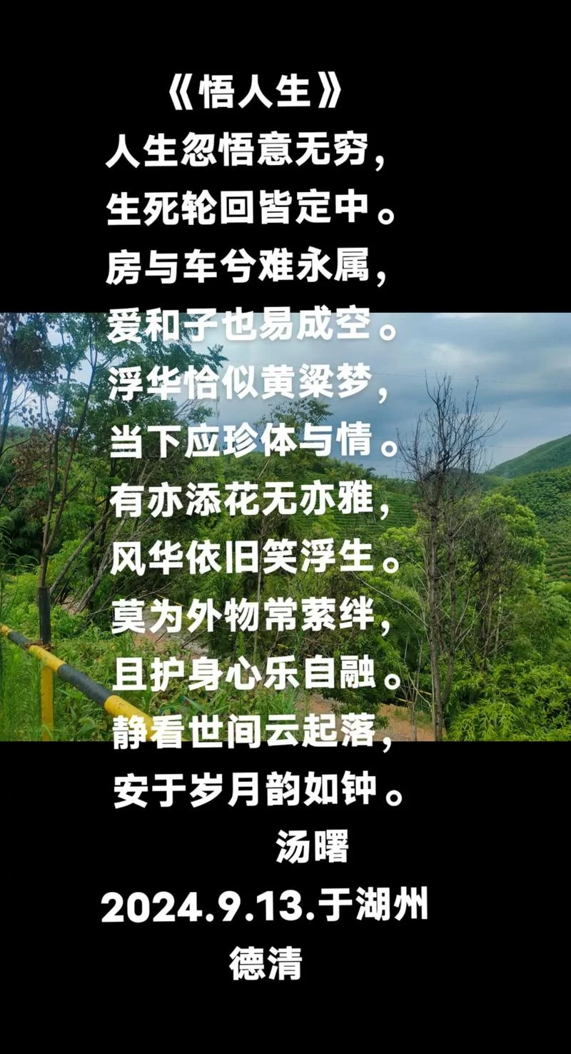 关于人生感悟的诗词_1