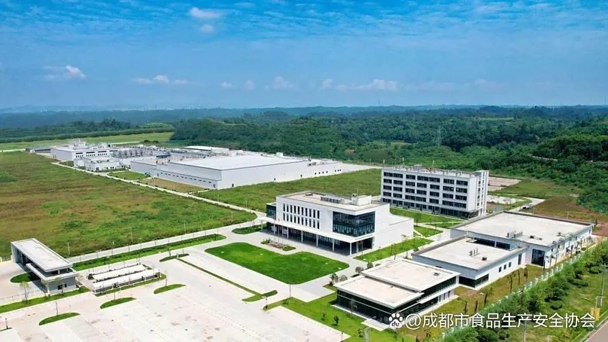 康德集团是什么公司-康德集团是什么公司