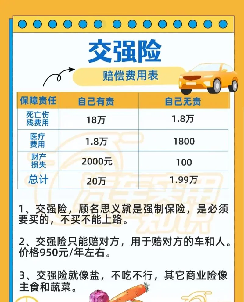 自己交保险多少钱_1