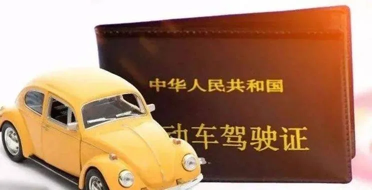 怎么查自己的驾驶证_2
