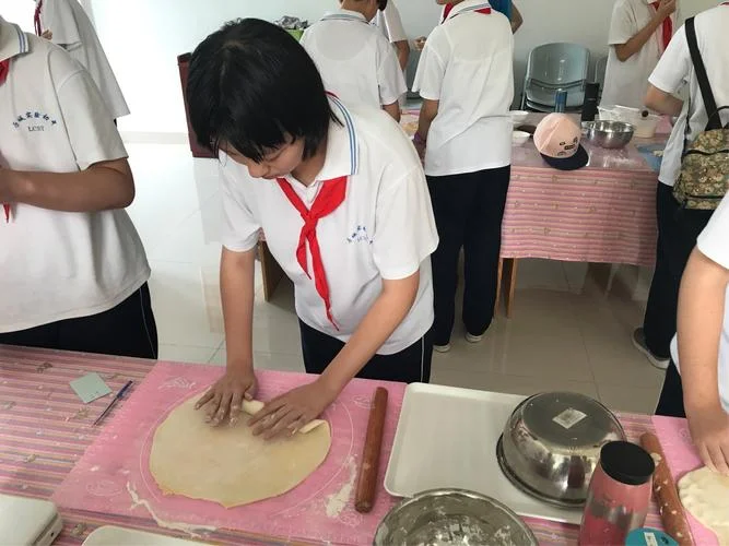 中学教育学视频教程-中学教育学视频教程