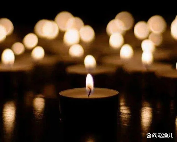 梦见去世的人去世_1
